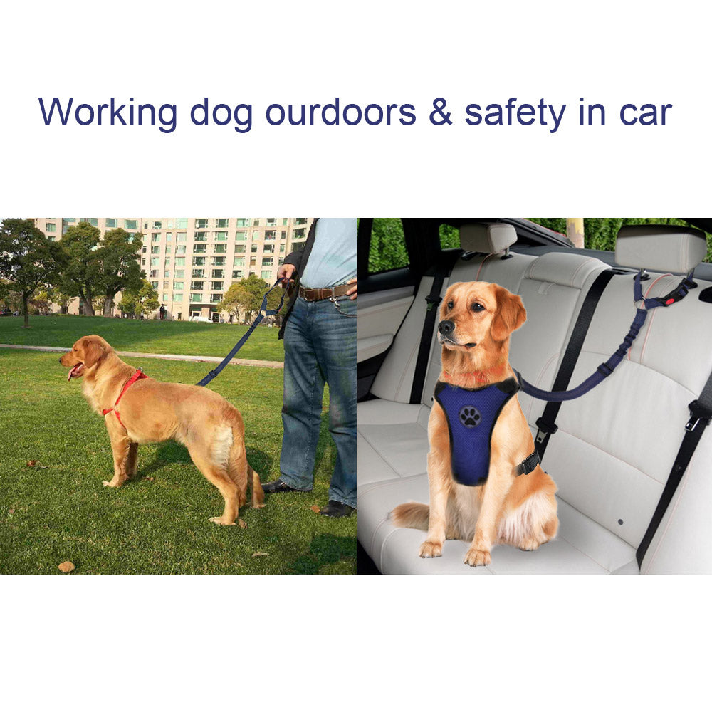 2 Pack Dog Headrest Restraint Seat Belt - Purple