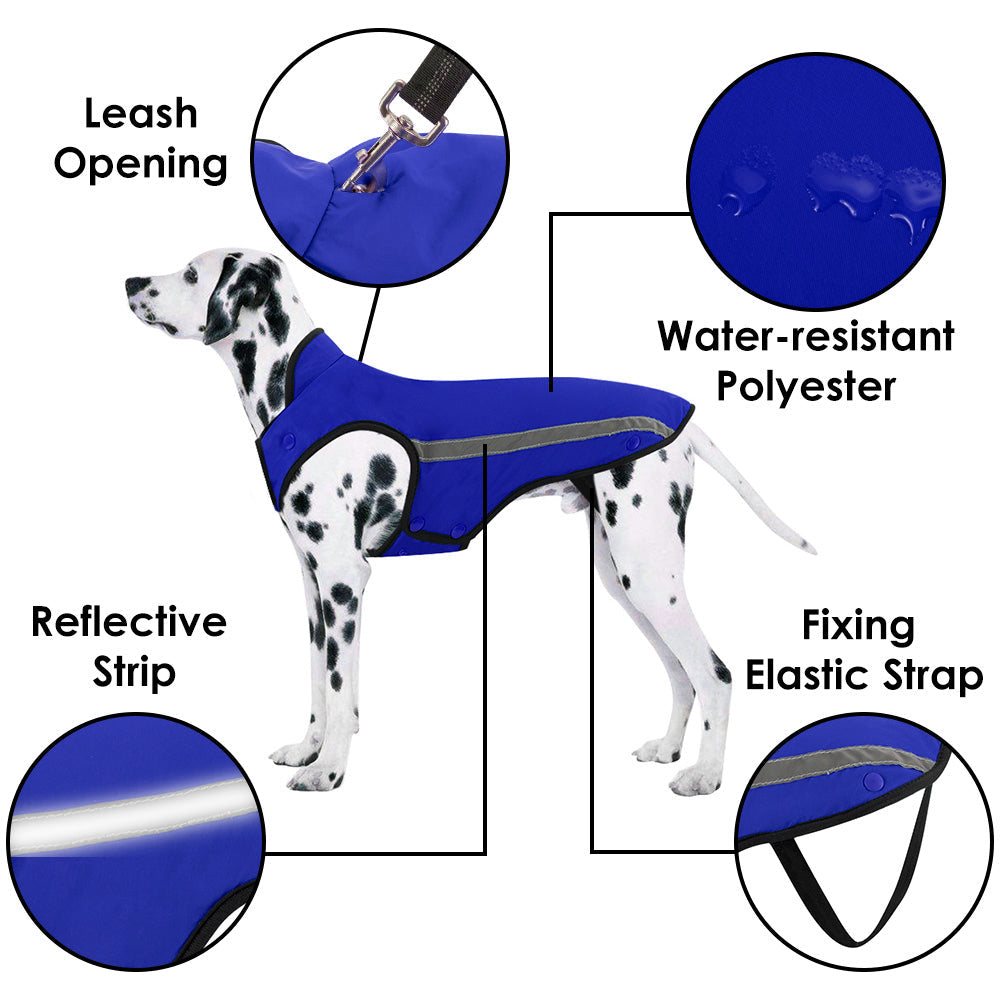 Winter Dog Jacket - Blue