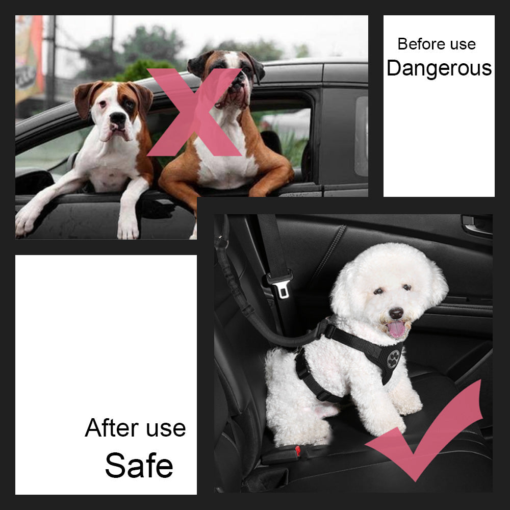 2 Pack Dog Headrest Restraint Seat Belt - Black