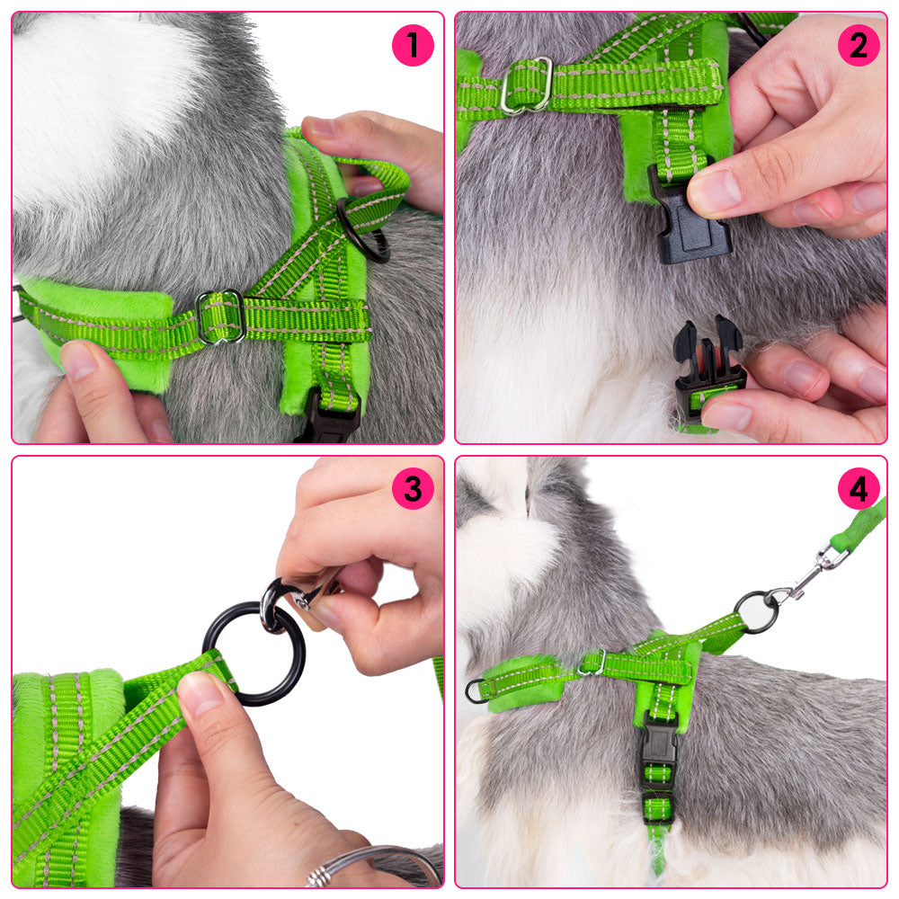 Small Dog Harness and Leash - Green