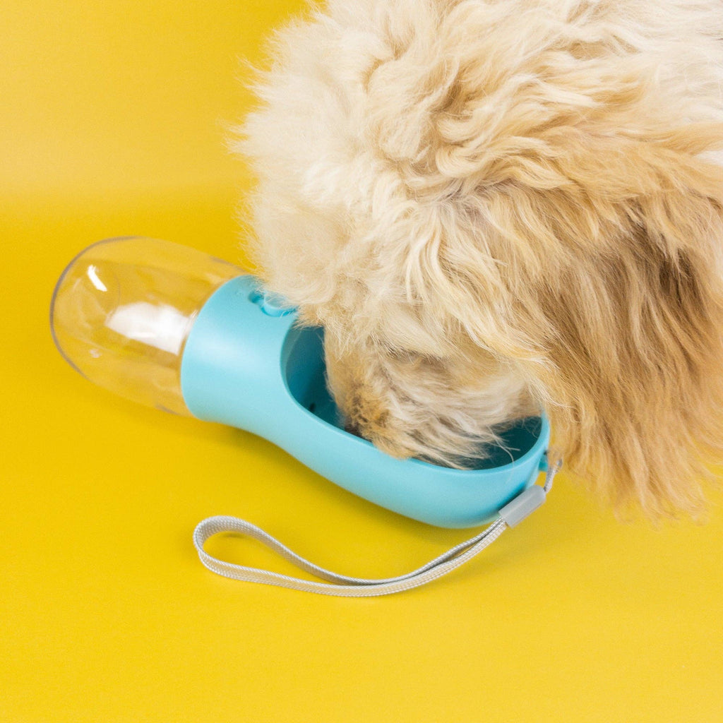 Green Waves Pet Water Bottle