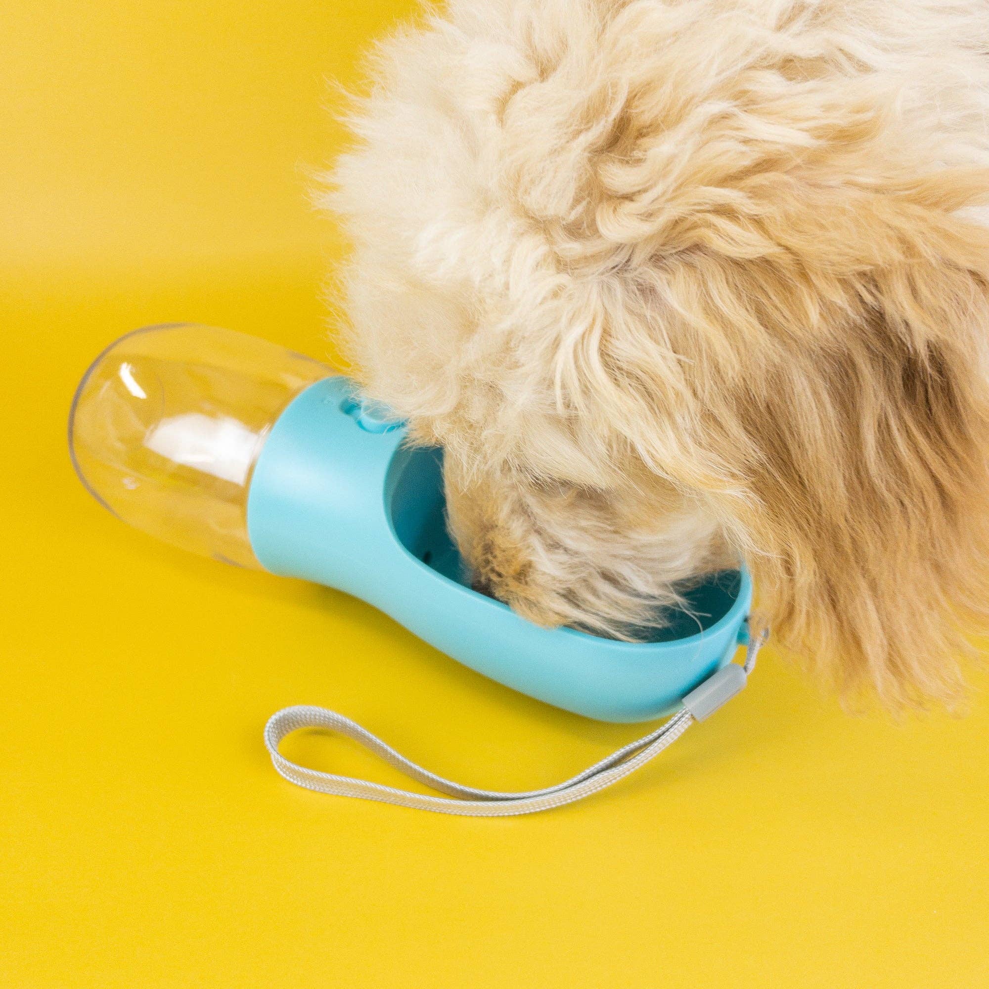 Green Waves Pet Water Bottle