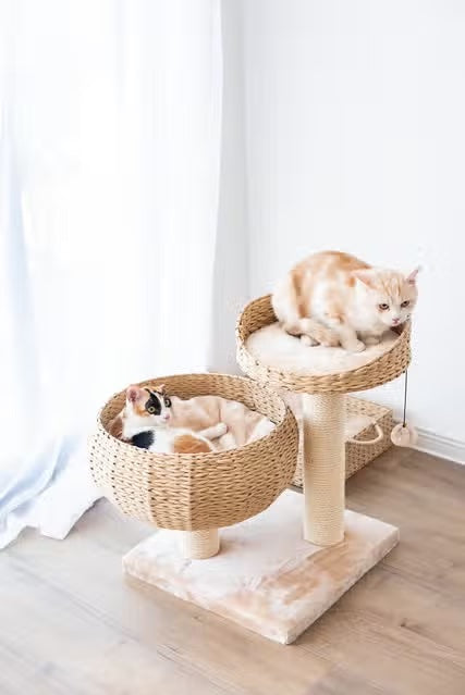 PetPals Cozy Handwoven, Natural Eco-Friendly Medium Cat Tree