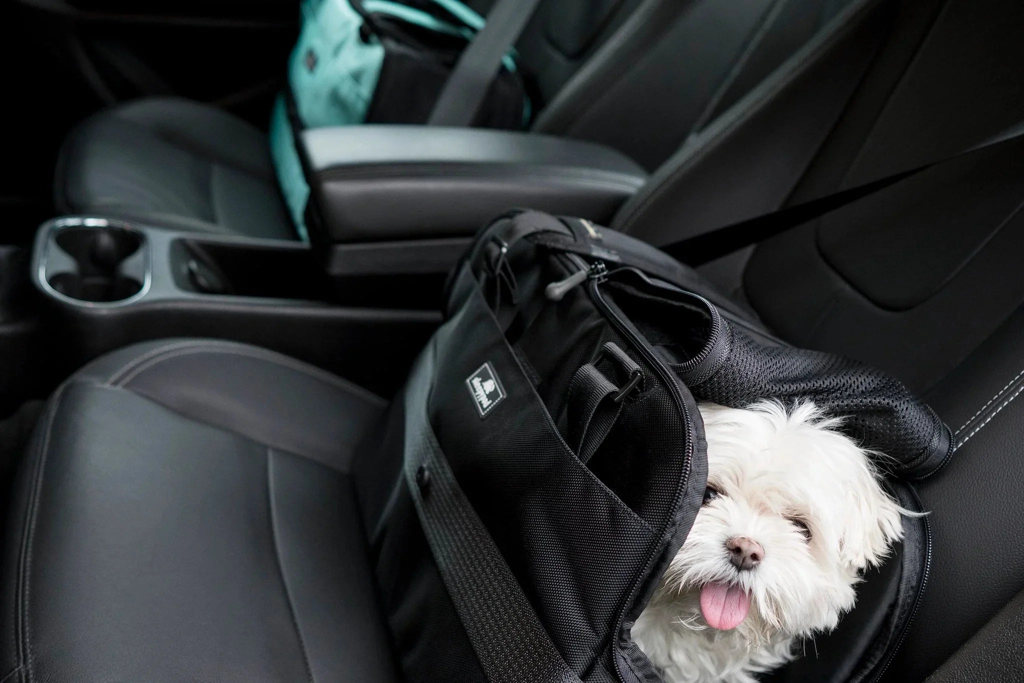 Sleepypod Atom Small Pet Carrier - Airline Compliant, Crash Tested Model