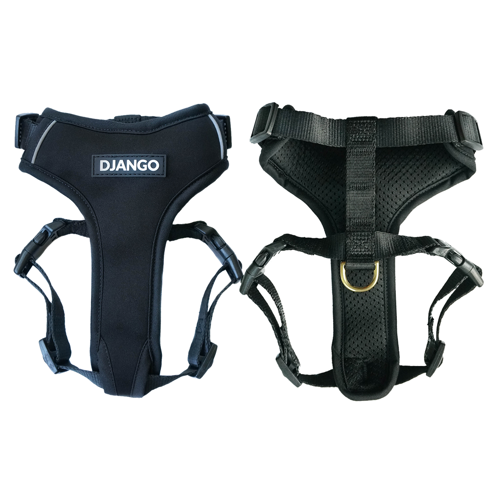 DJANGO Adventure Dog Harness