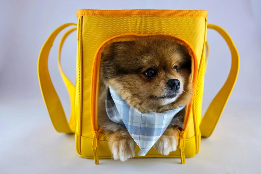 Oskar & Friends Pet Travel Carrier - Airline Compliant, Lightweight