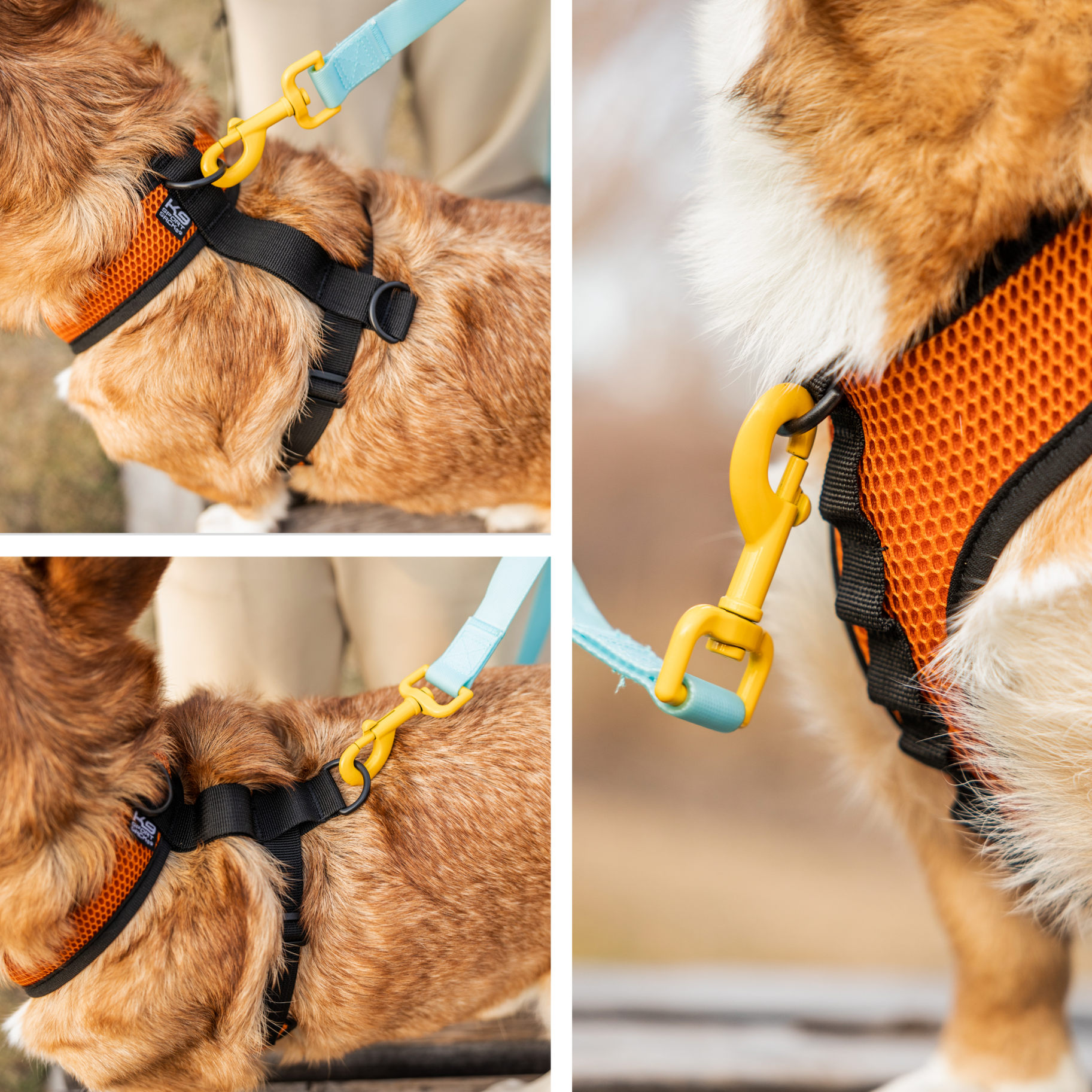 K9 Sport Harness