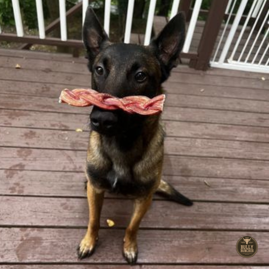 Bully Bunches 6 Inch Monster Braided Bully Stick