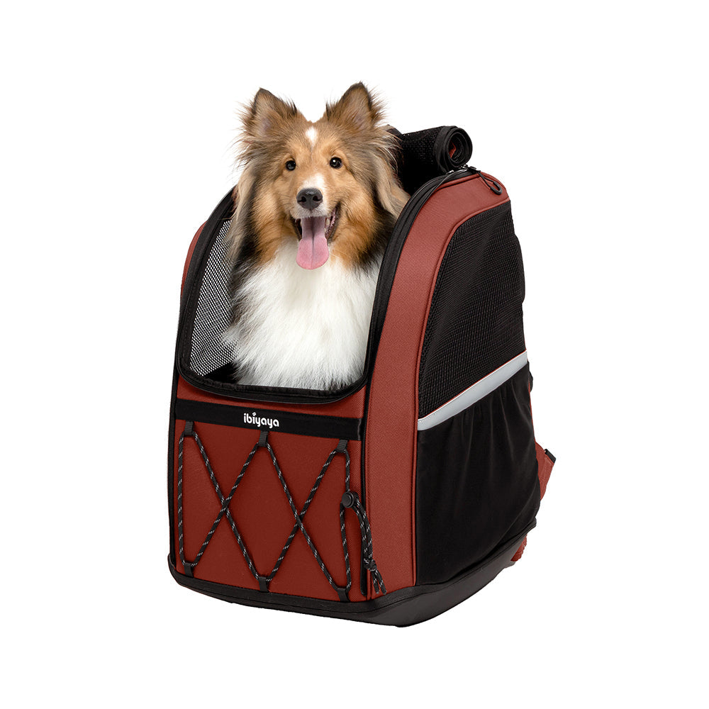 Ibiyaya Champion Large Dog/Cat Carrier Backpack with Window 3-in-1 Travel Backpack & Car Seat Booster
