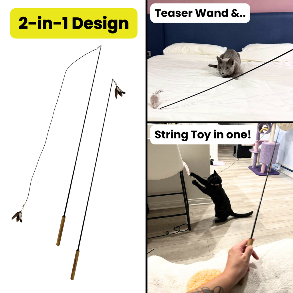 Repounce Forever Stick — Unbreakable 36″ Cat Wand with Cork Handle