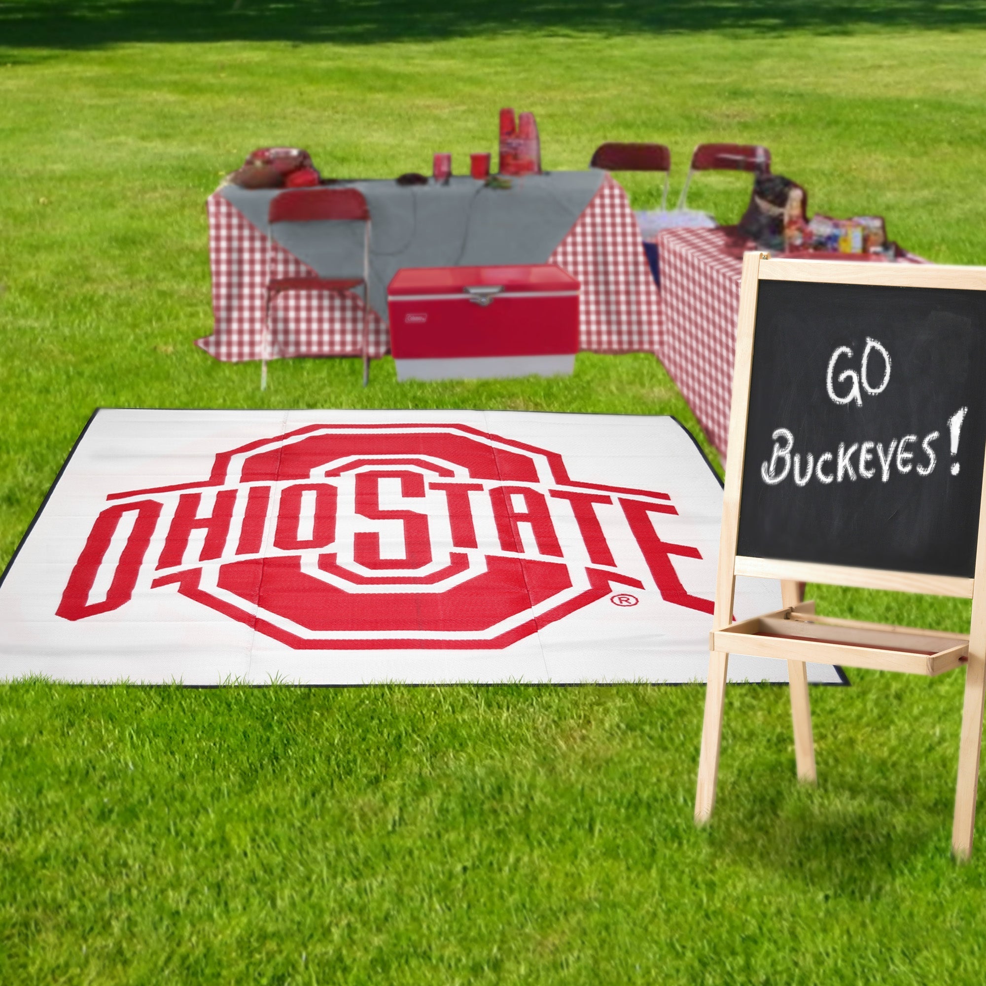 Collegiate Tailgate Picnic Mat