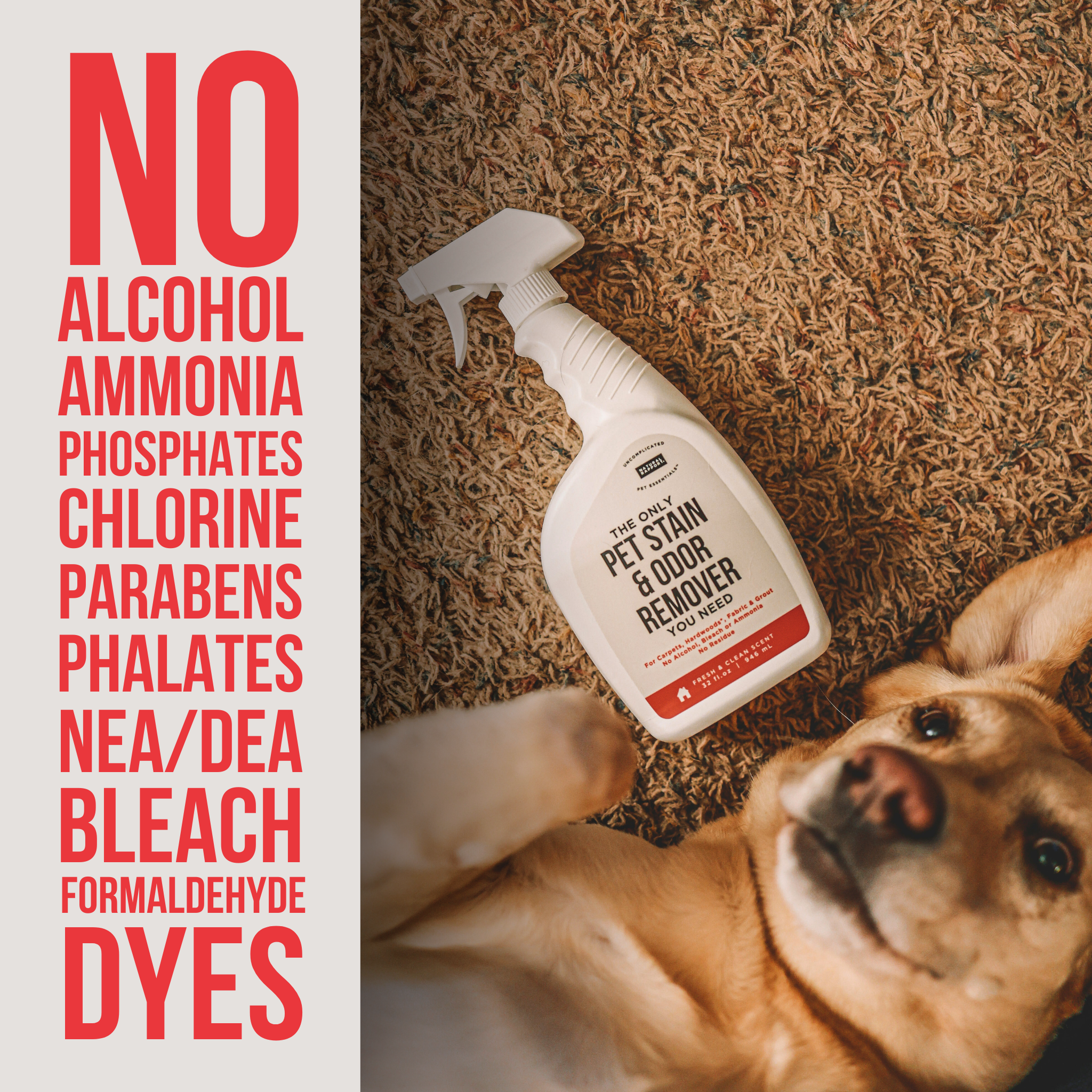 Natural Rapport - The Only Enzymatic Pet Stain & Odor Remover You Need