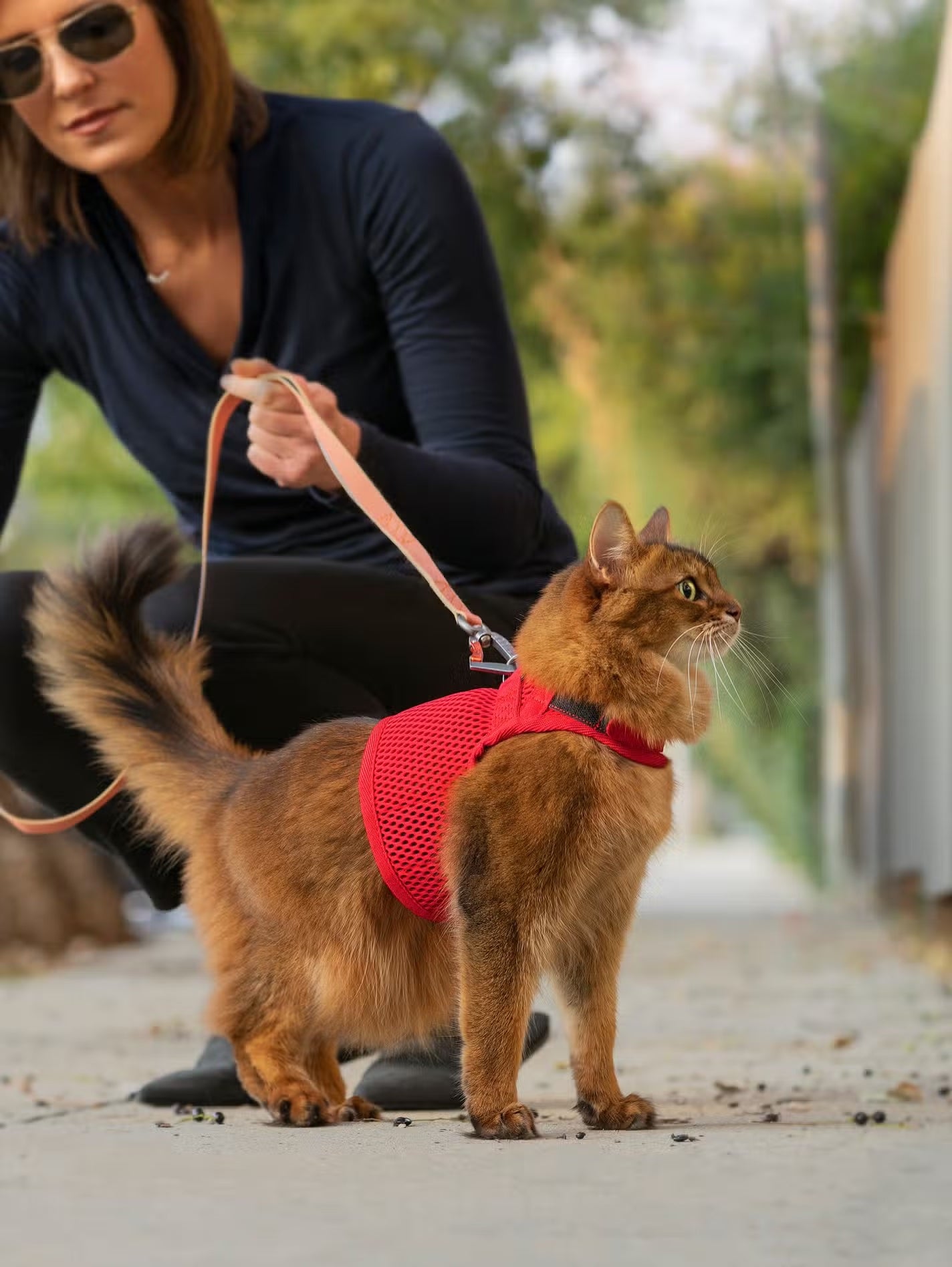Sleepypod Slim Leash