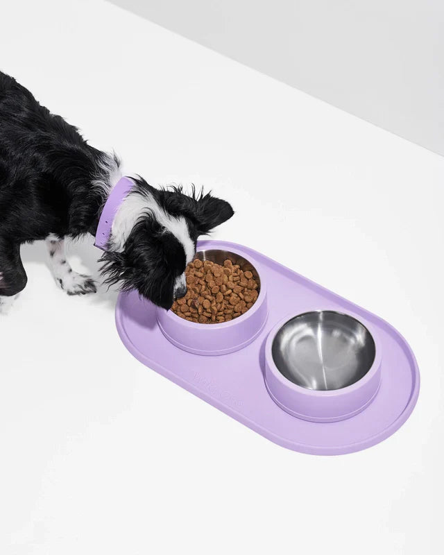 Wild One Silicon Dog Placemat (Bowls Not Included)