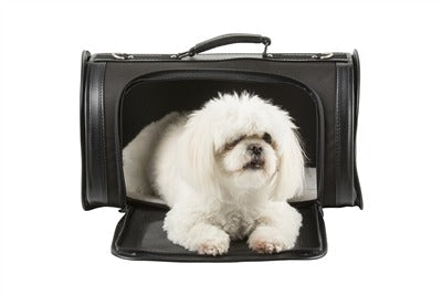 Petote Kelle Pet Carrier - Made in the USA - Please Note Shipping in Description