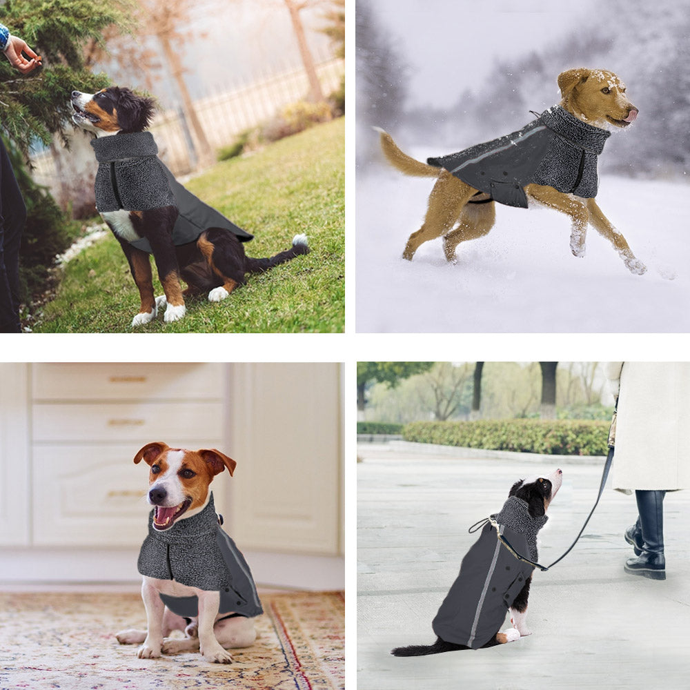 Winter Dog Coat - Grey