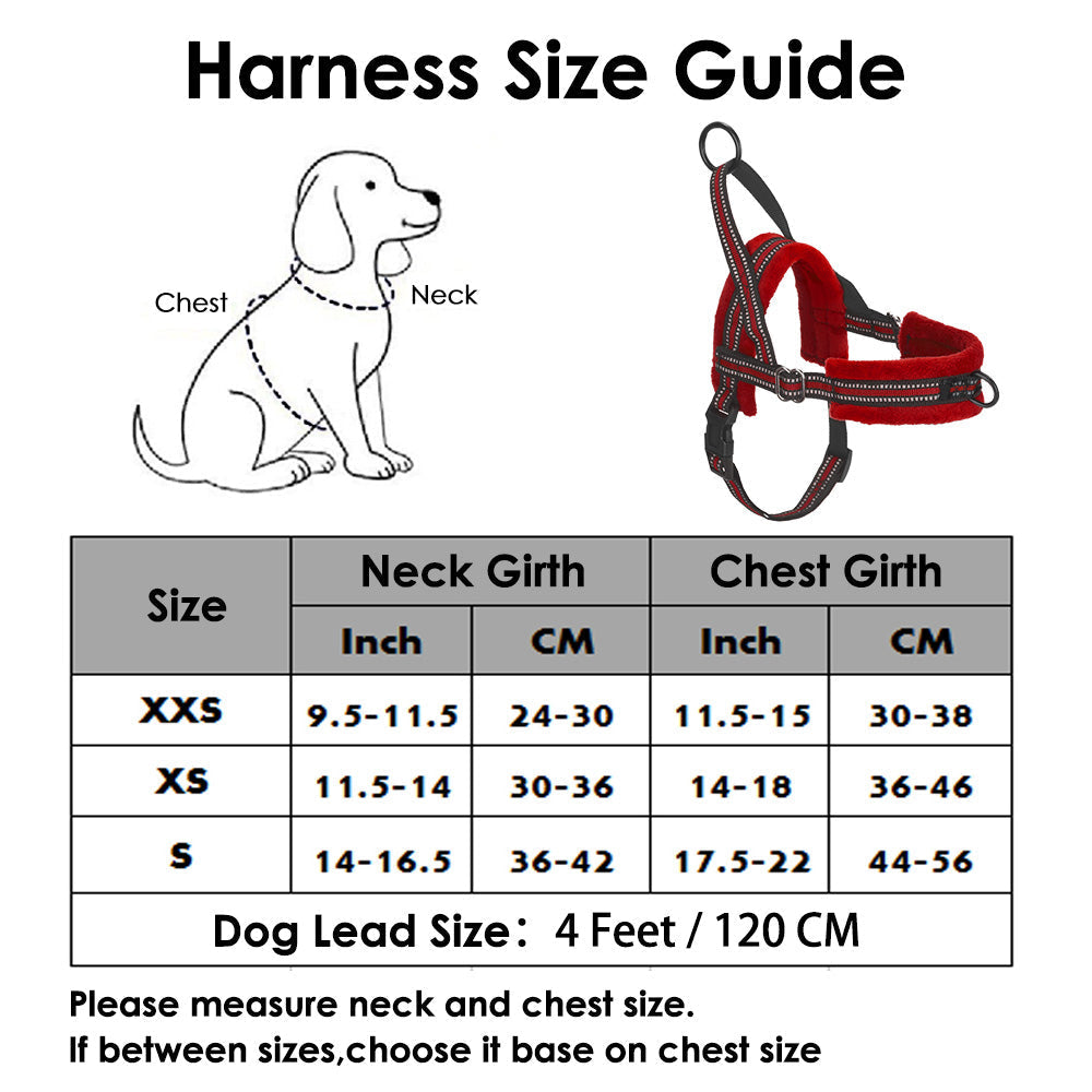 No Pull Small Dog Harness and Leash - Red