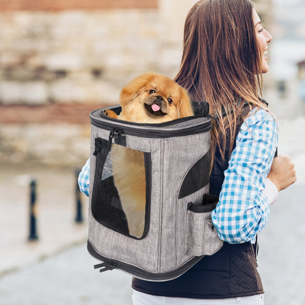 Pet Carrier Backpack - Grey