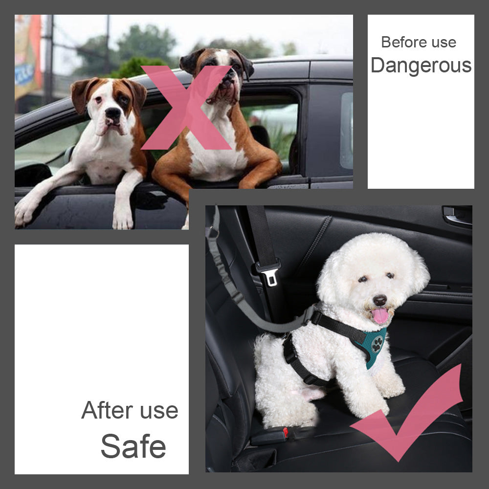 2 Pack Dog Headrest Restraint Seat Belt - Grey
