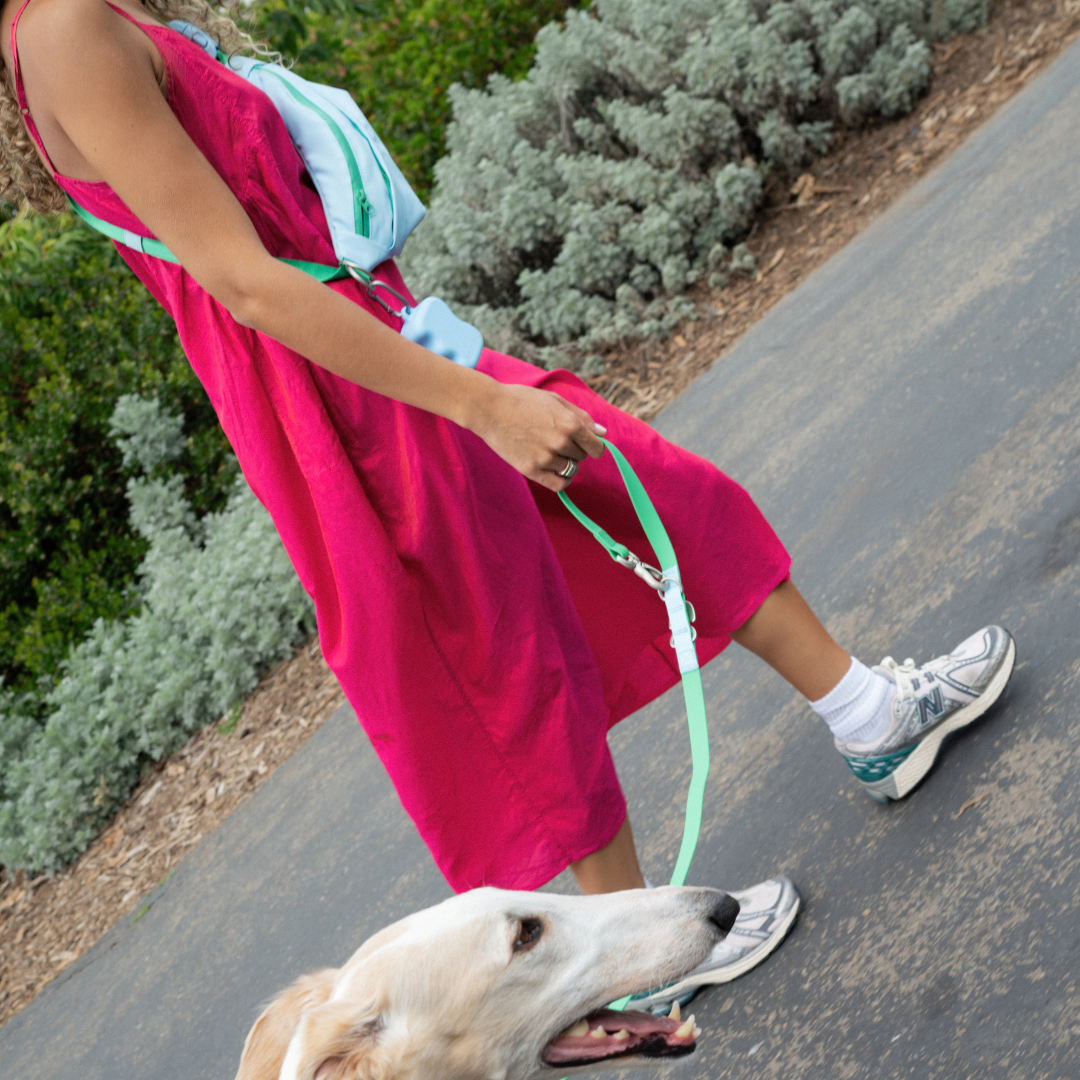 Hands-Free Dog Walking Bag with 3.25ft Leash