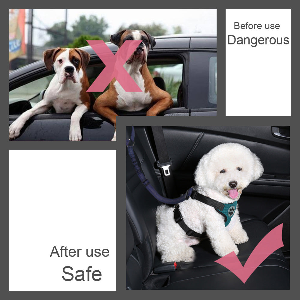 2 Pack Dog Headrest Restraint Seat Belt - Blue