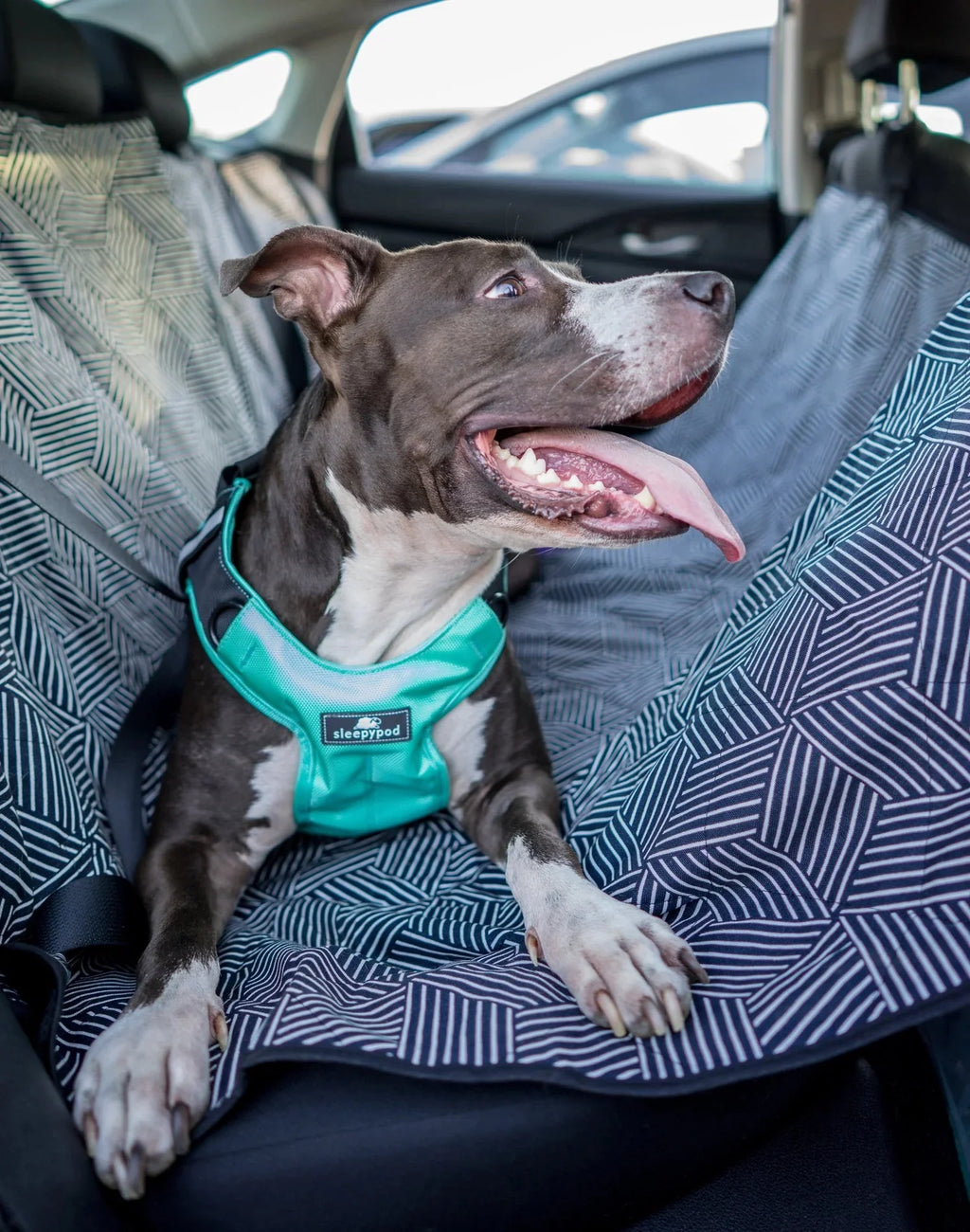 Sleepypod - Clickit Terrain Plus Crash Tested Car Harness
