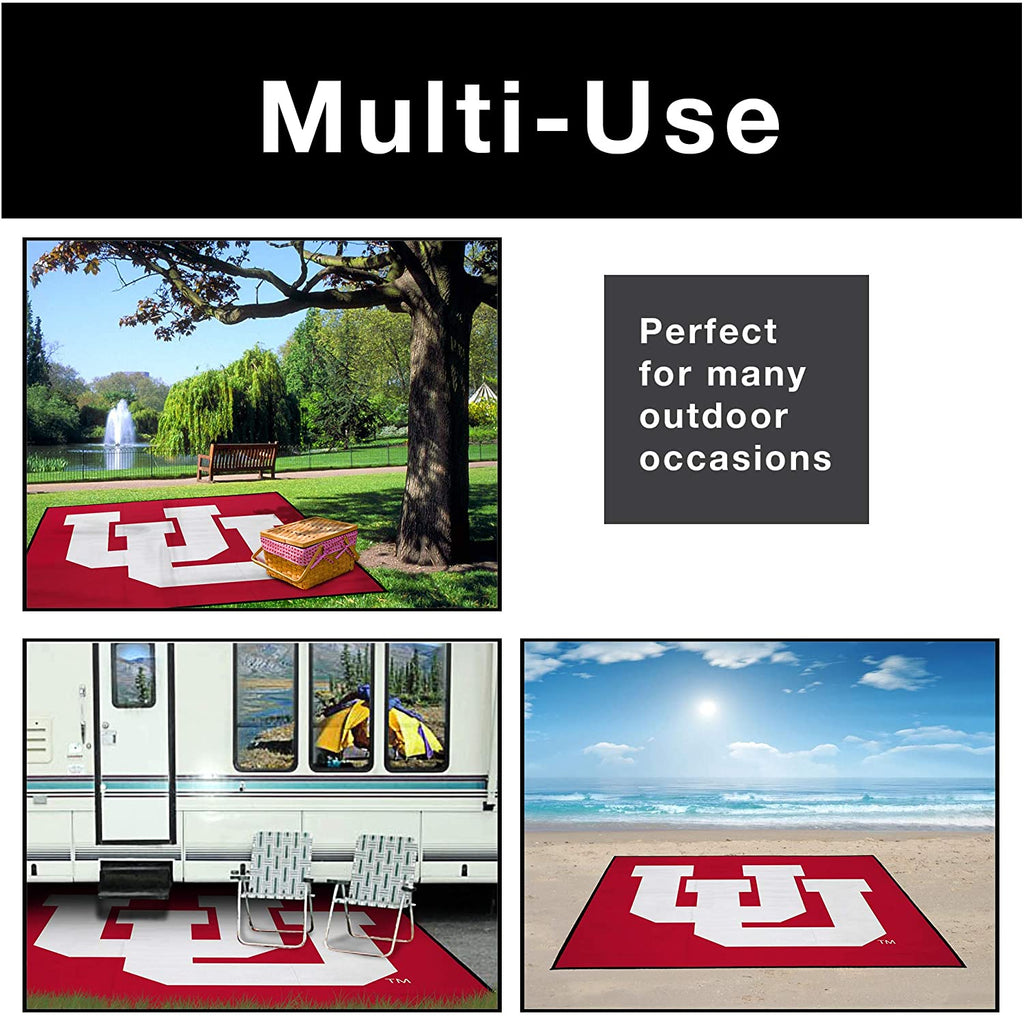 Collegiate Tailgate Picnic Mat