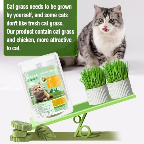 100g/3.52oz Cat Grass Treats, Cat Grass Teething Stick for Hairball Remove and Teeth Cleaning, Edible Cat Grass Stick Snack