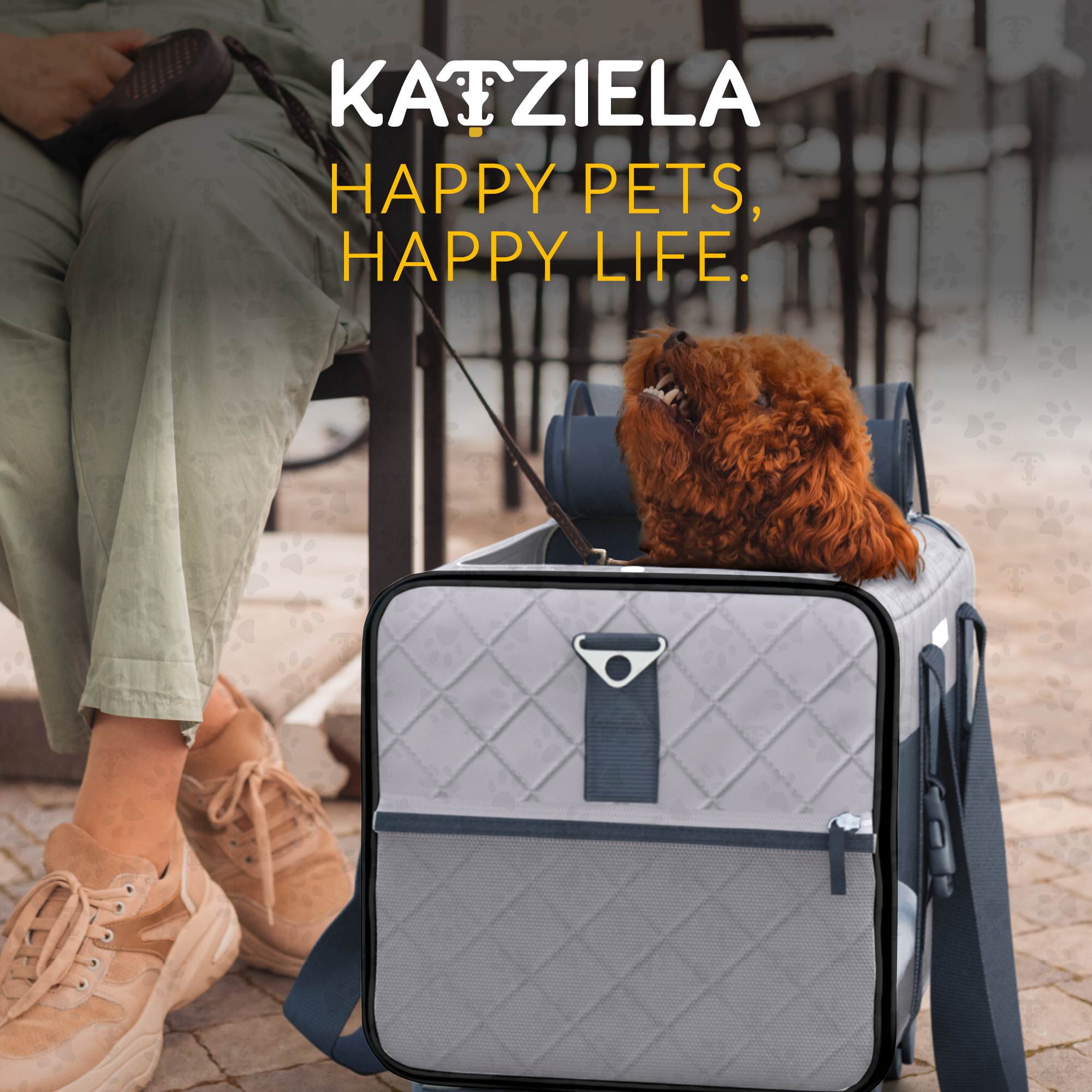 Katziela Quilted Chariot Pet Carrier With Removable Wheels and Telescopic Handle