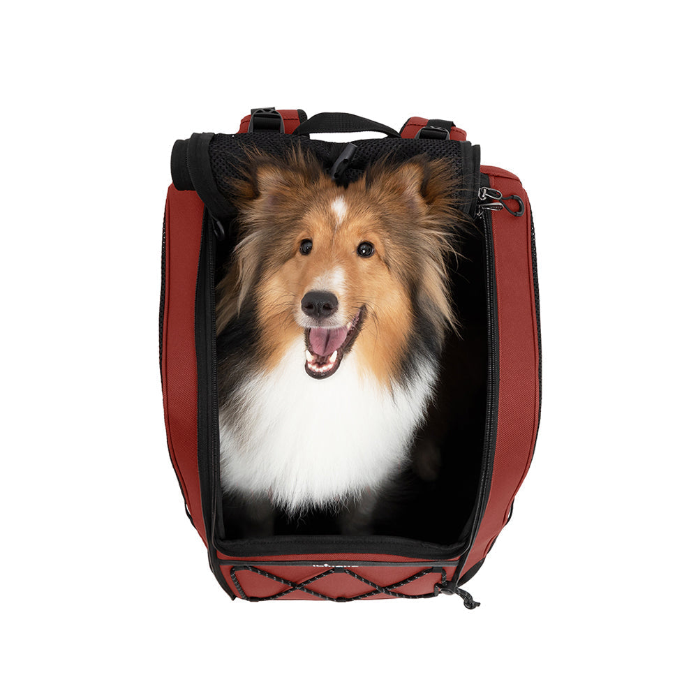 Ibiyaya Champion Large Dog/Cat Carrier Backpack with Window 3-in-1 Travel Backpack & Car Seat Booster