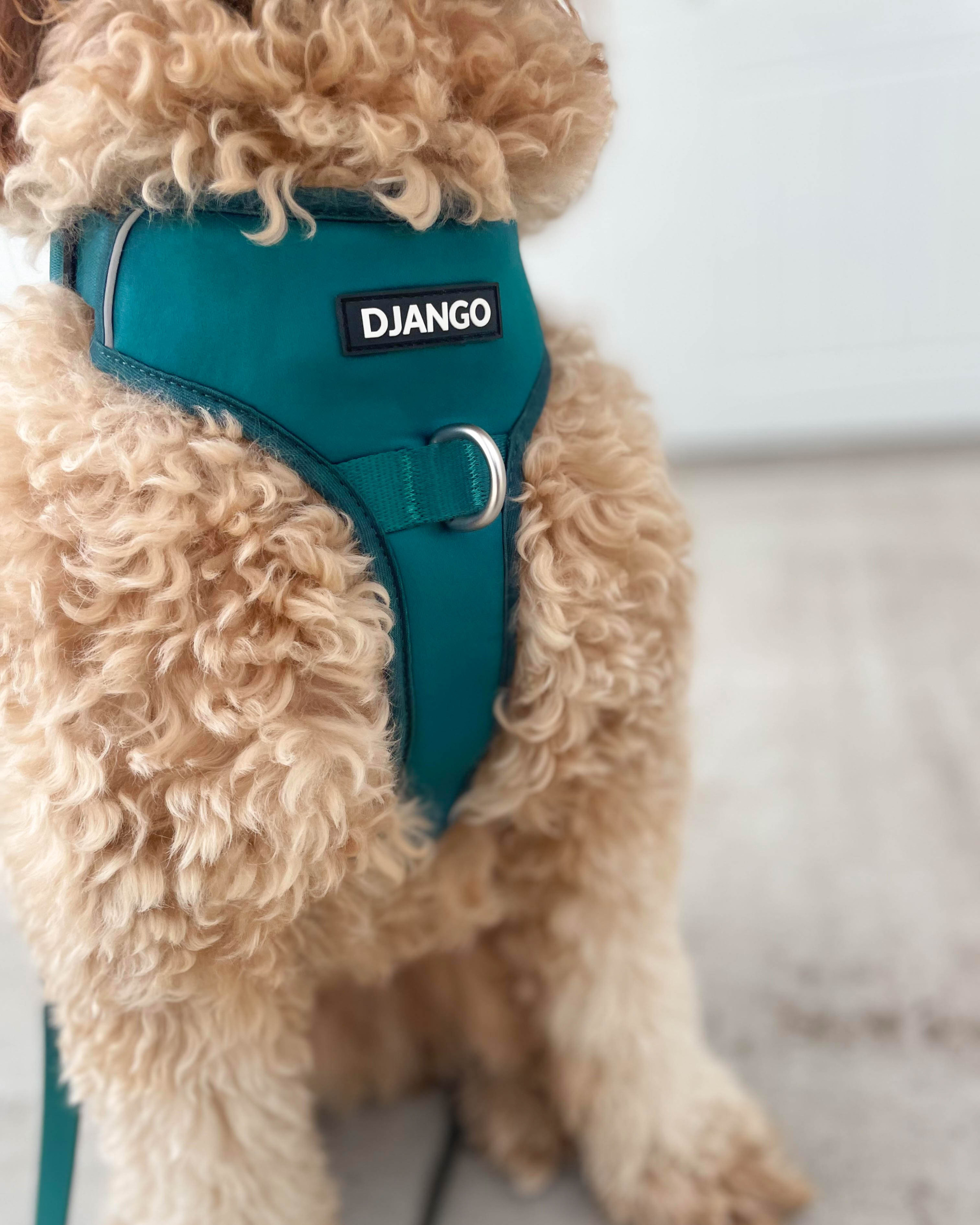 DJANGO Tahoe No Pull Dog Harness