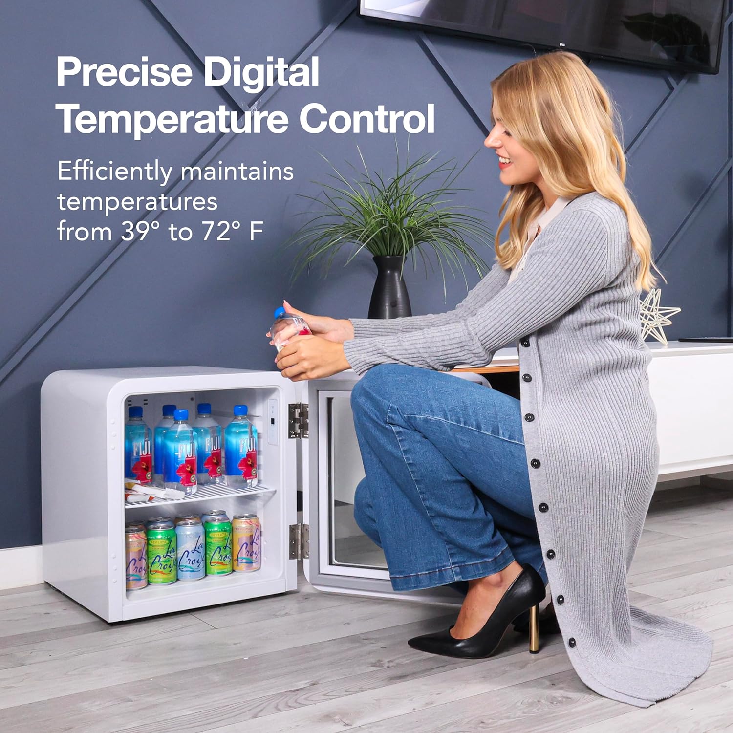Decor 1.7 cu ft Mini Fridge