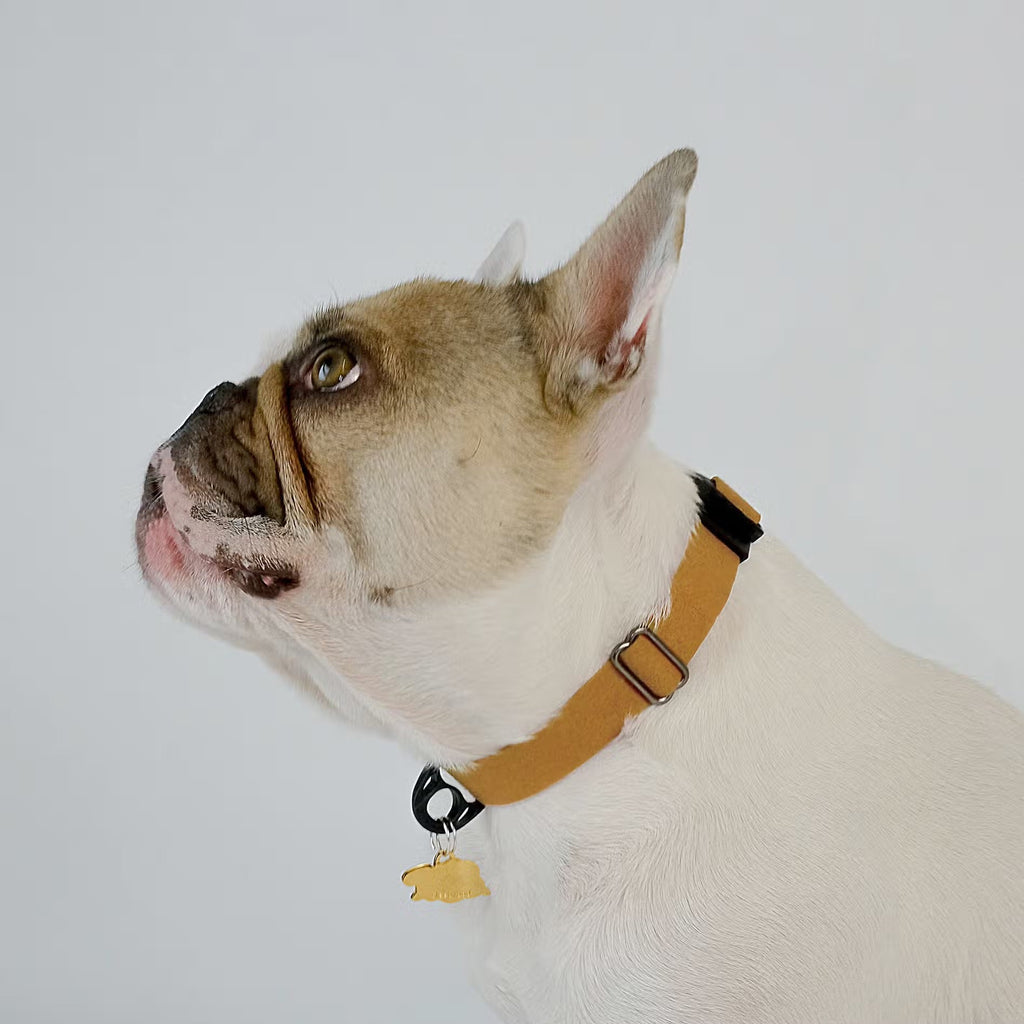 Sleepypod Comfort Suede Dog Collar