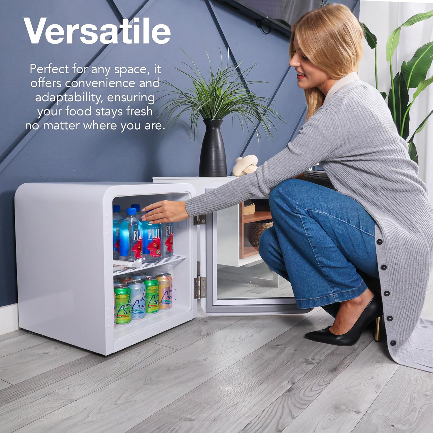 Decor 1.7 cu ft Mini Fridge