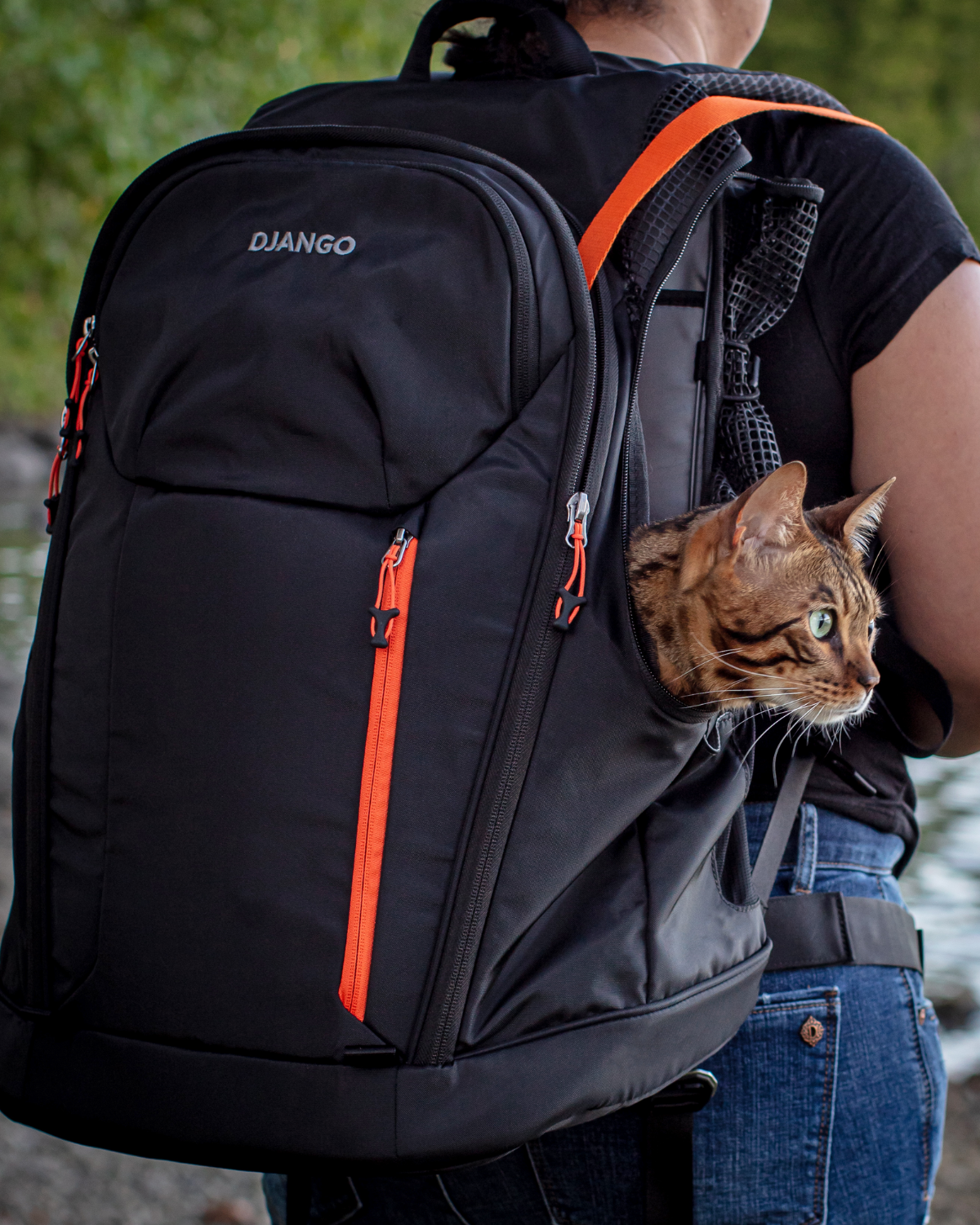 DJANGO - DjangoPack™ Dog Carrier Backpack