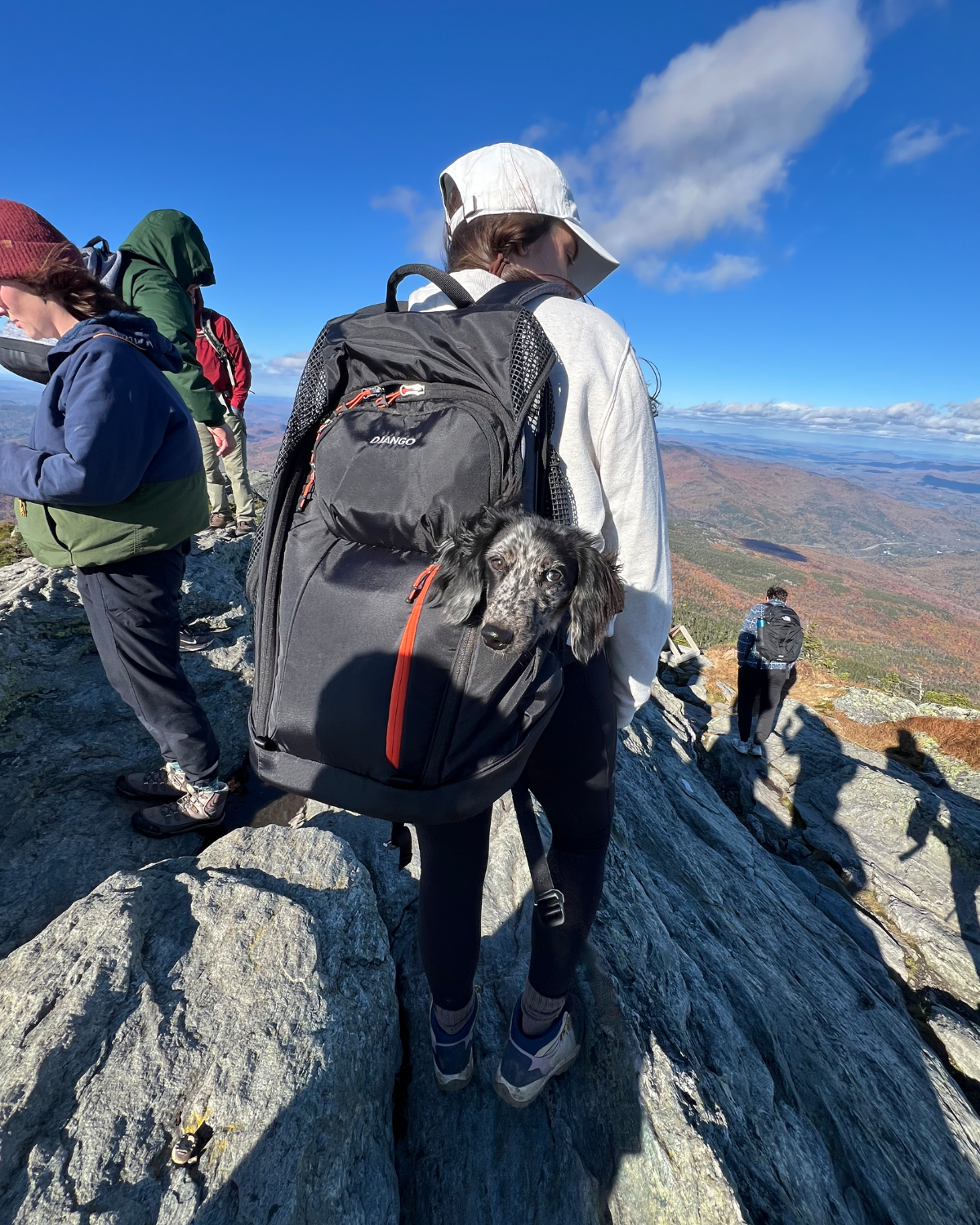 DJANGO - DjangoPack™ Dog Carrier Backpack