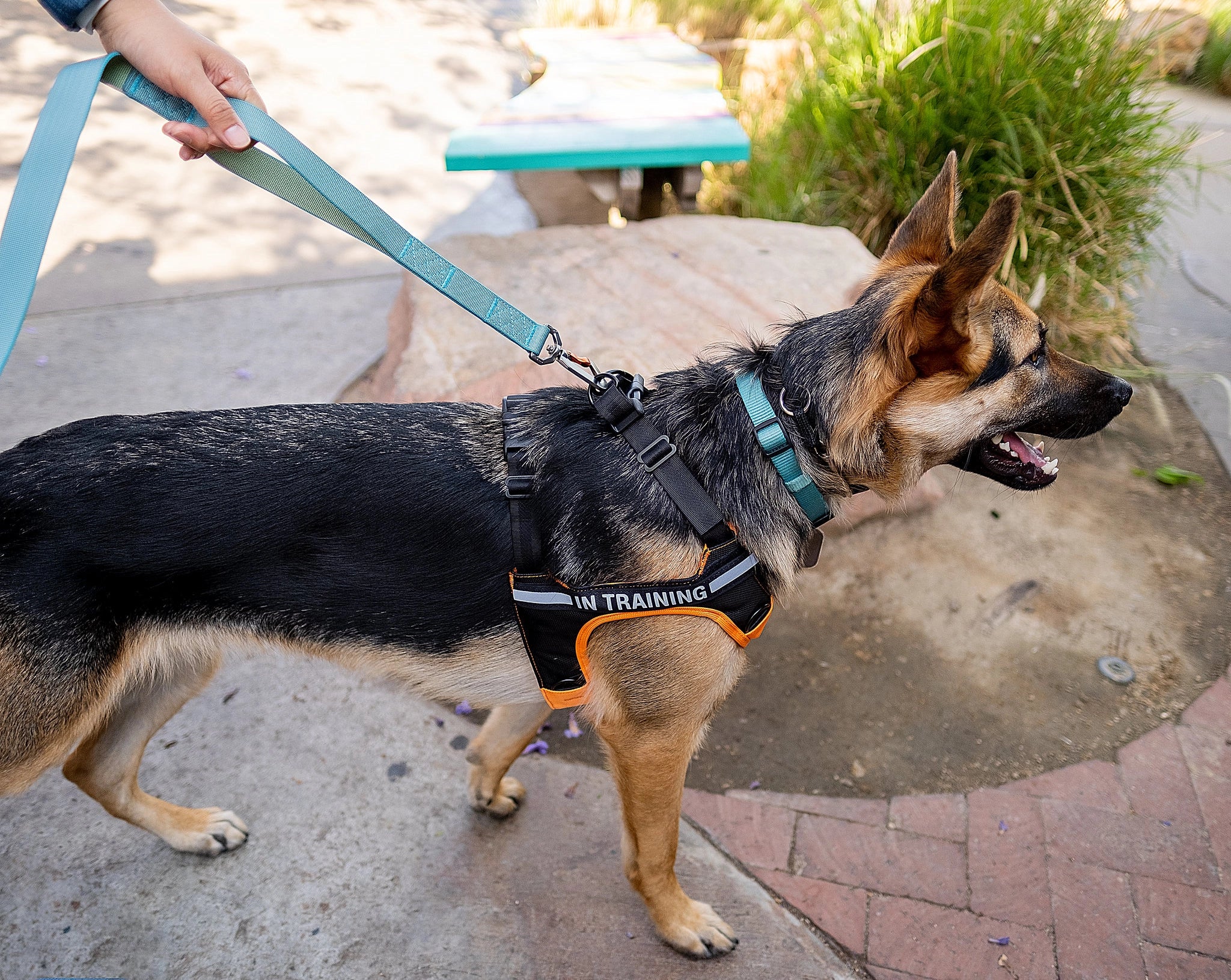 Sleepypod Power Leash