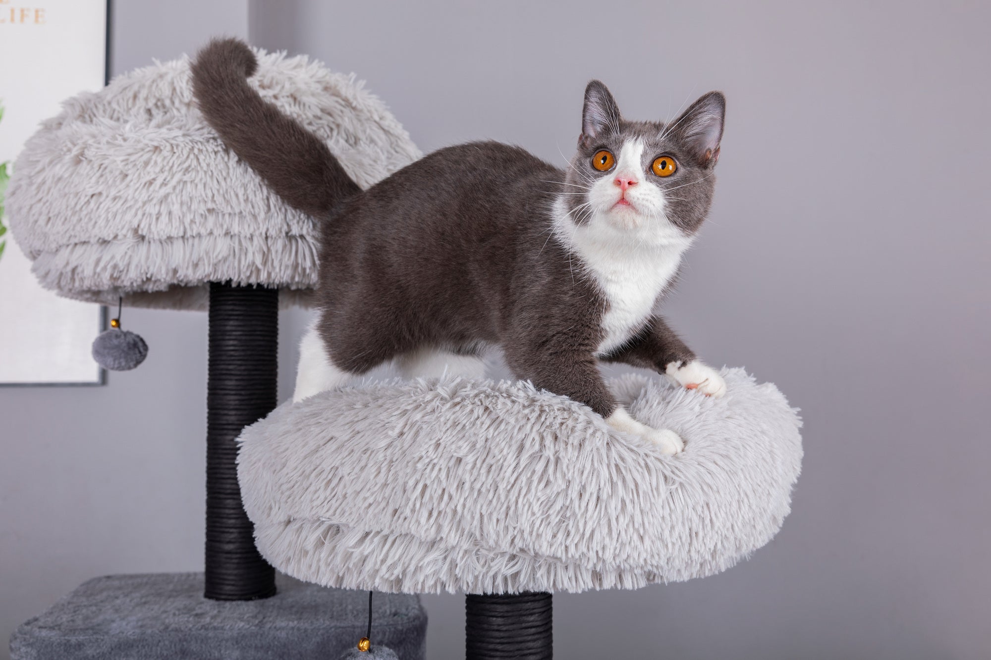 Catry Bradbury 7 Level Gray Cat Tree