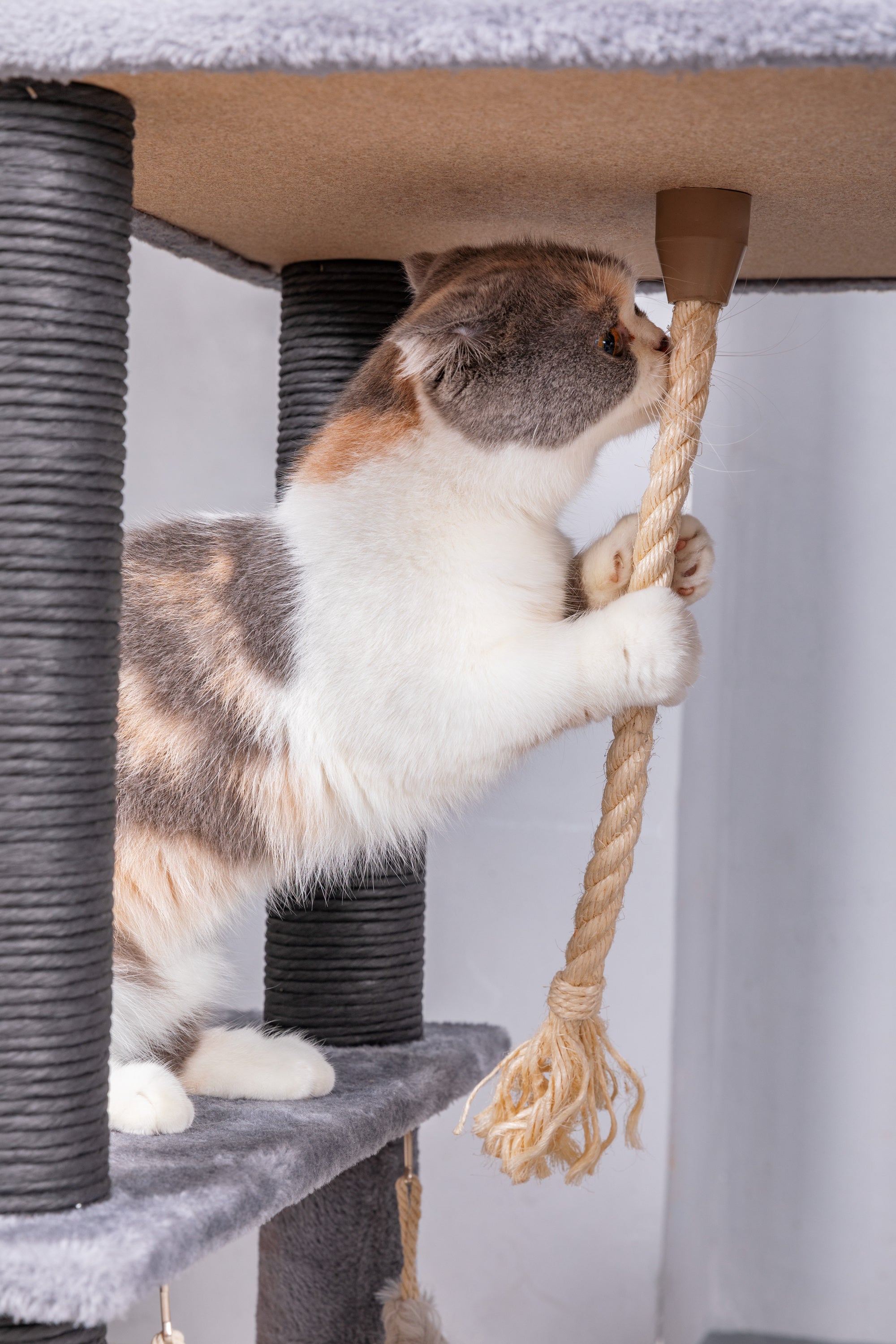 Catry Bradbury 7 Level Gray Cat Tree
