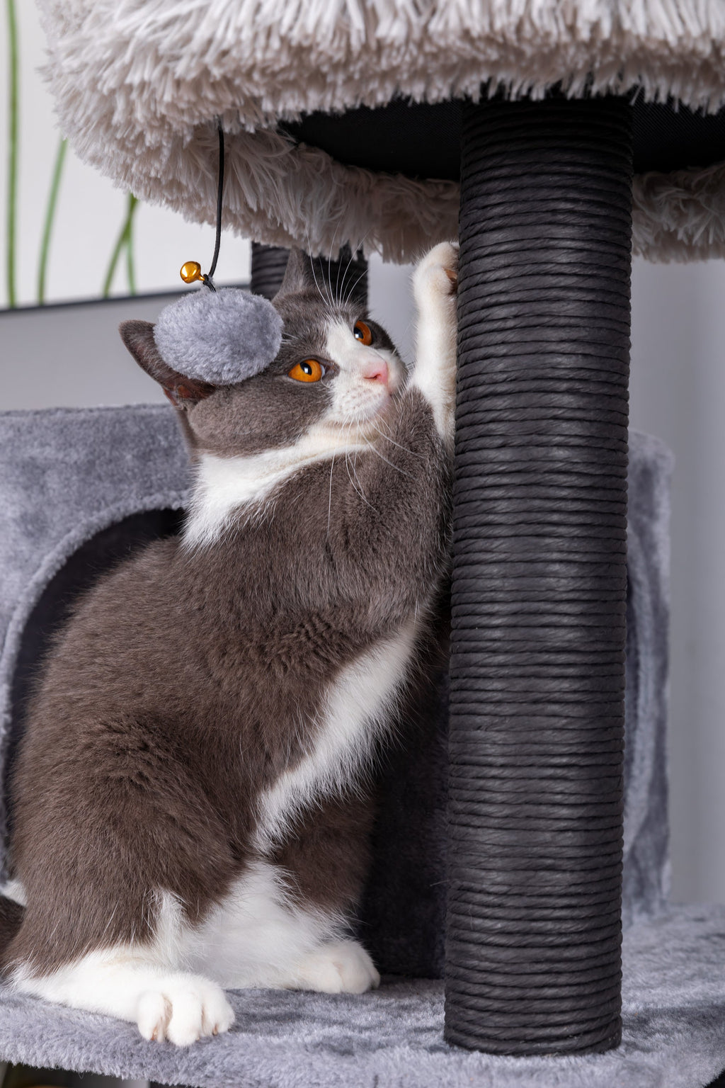 Catry Bradbury 7 Level Gray Cat Tree