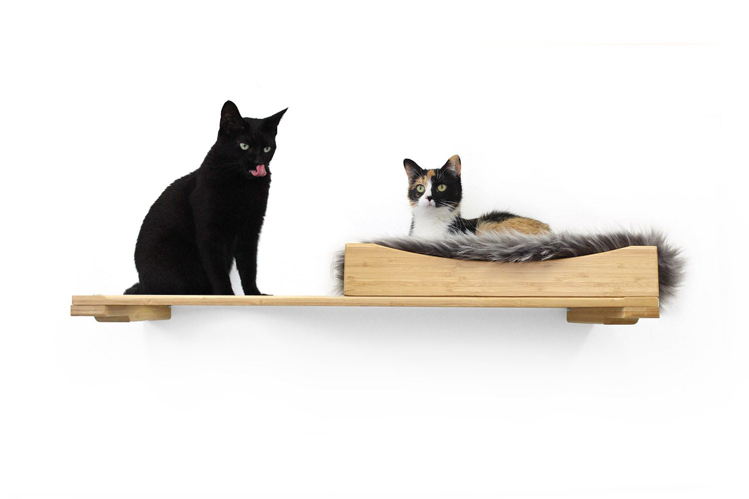 The Cat Nest Bed by Catastrophic Creations