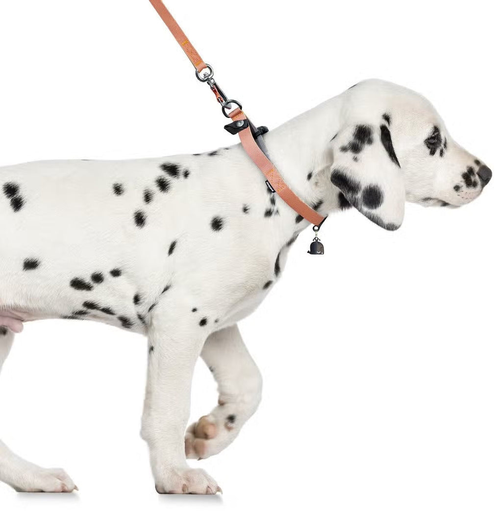 Sleepypod Locking Martingale Collar