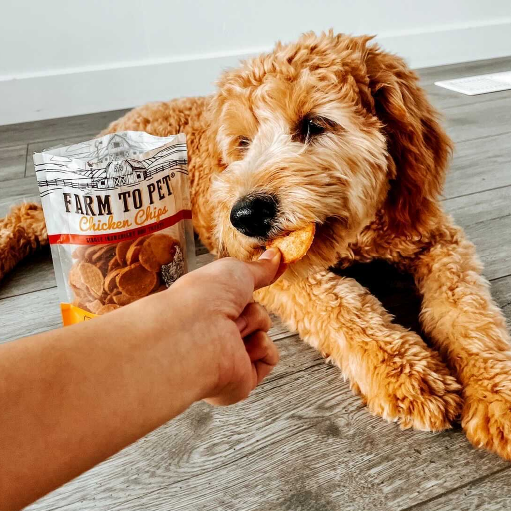 Chicken Chips for Dogs