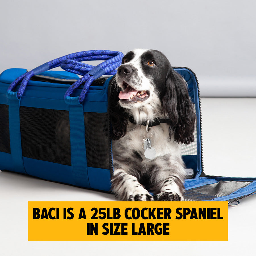 OUT-OF-OFFICE PET CARRIER RE-LOVED EDITION