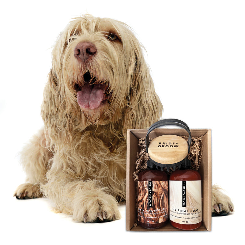 THE BATH BRUSH Dual-Use Silicone Grooming Brush — De-Shedding, Massaging & Waterproof Tool for Dogs