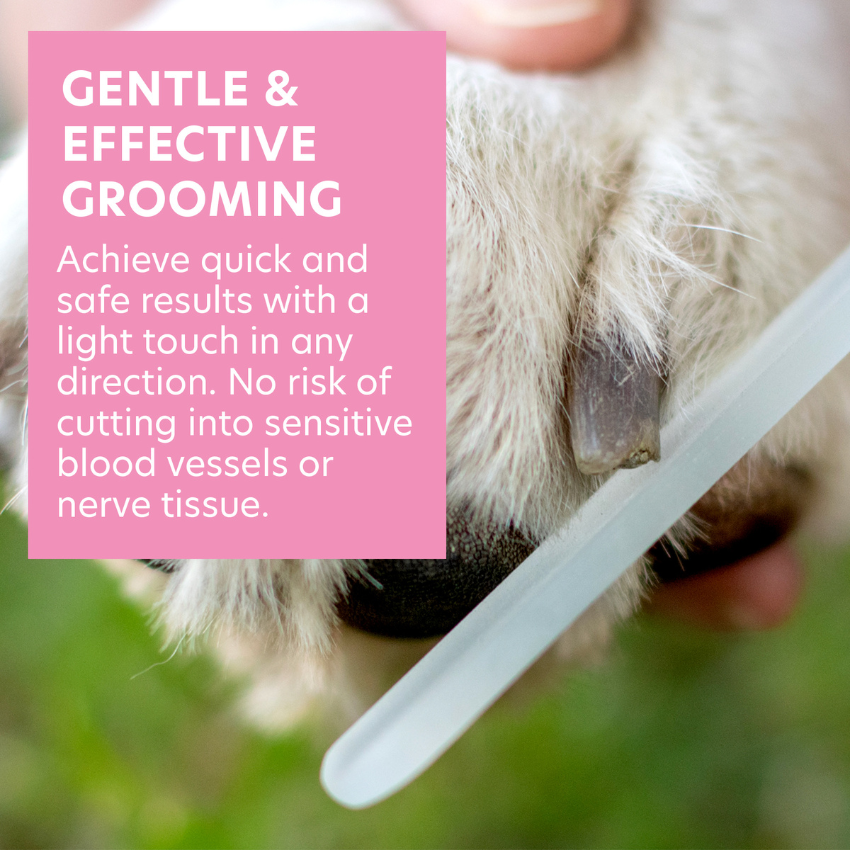 Pet Czech Glass Nail File - Claw Grooming File for Dogs, Cats, and Birds