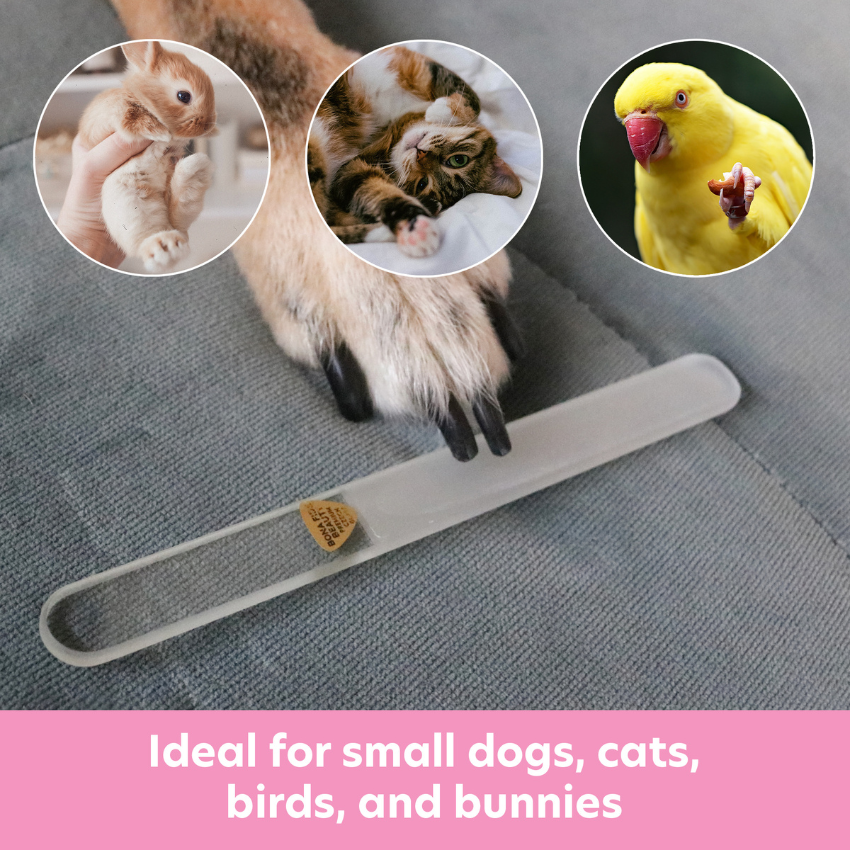 Pet Czech Glass Nail File - Claw Grooming File for Dogs, Cats, and Birds