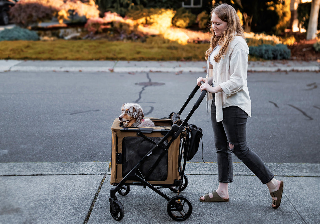 Ibiyaya BigBuddy Pet Stroller and Crate Combo, 2-in-1 Collapsible Medium-to-Large Pet Wagon for Cats and Dogs