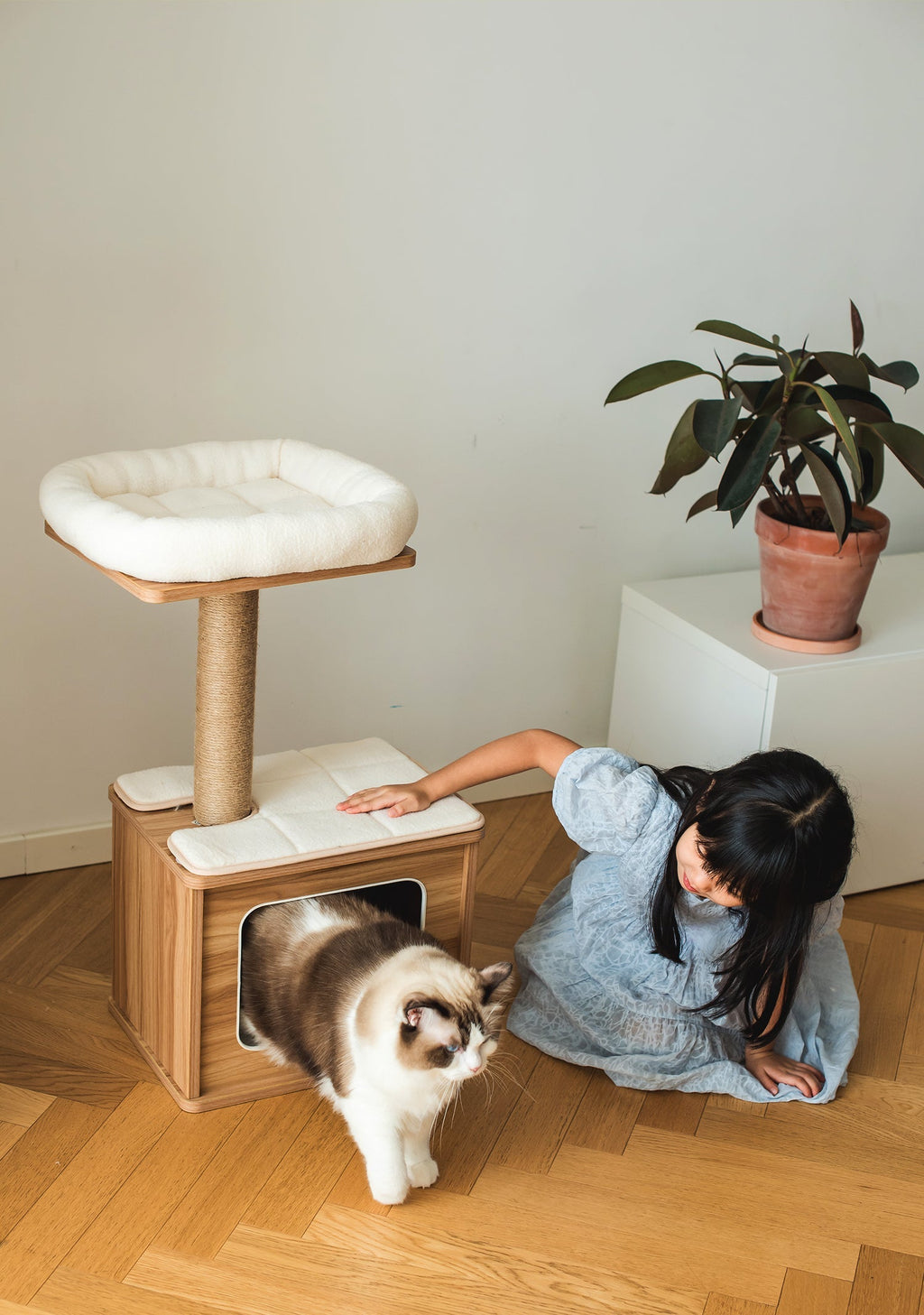 Catry Cedar Cat Tree Condo