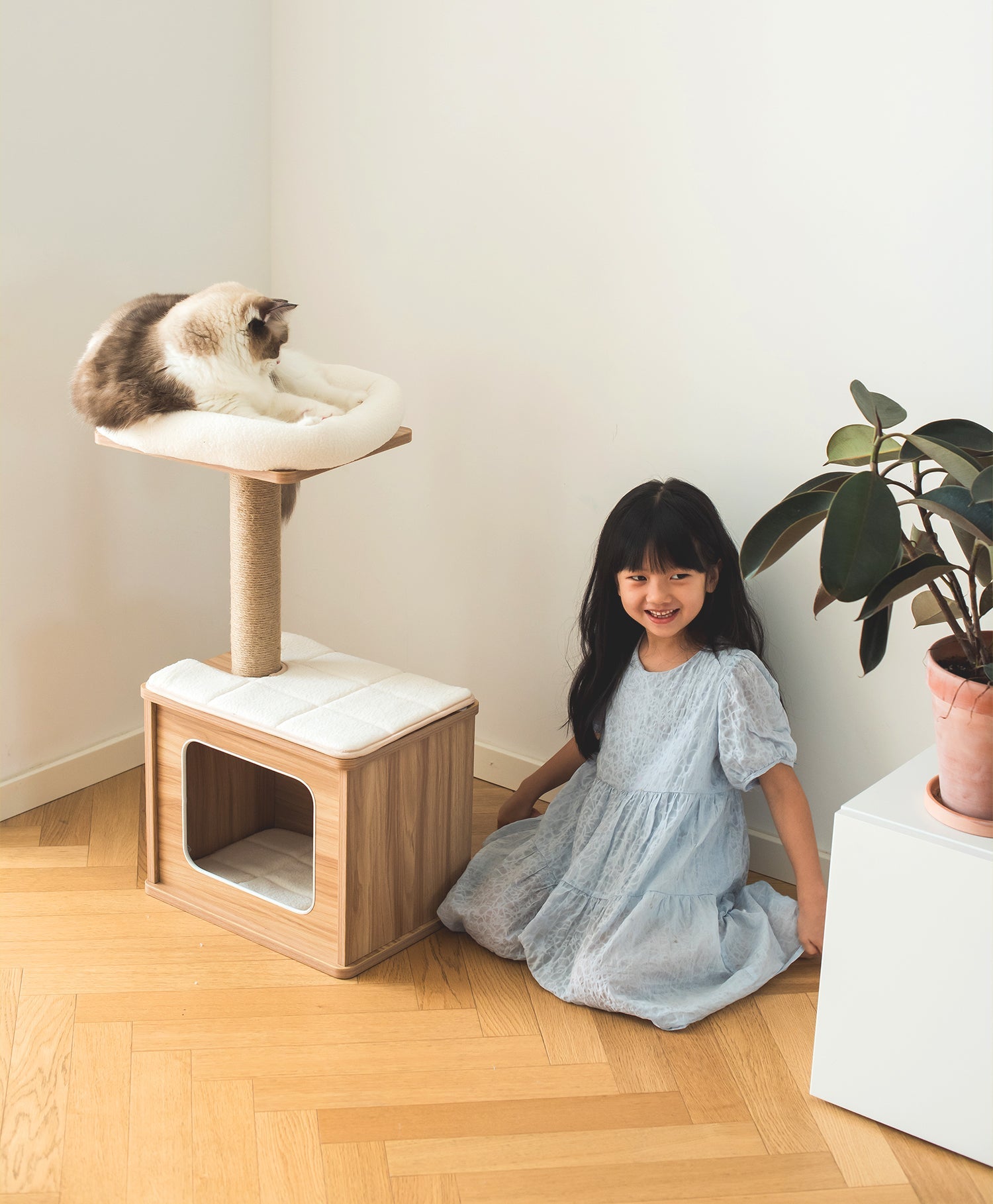 Catry Cedar Cat Tree Condo